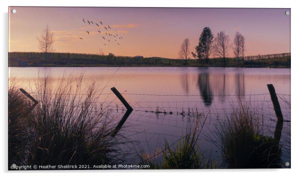 Secret Lake at Sunset Acrylic by Heather Sheldrick