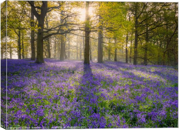 Enchanted Bluebell Wood Canvas Print by Rick Bowden