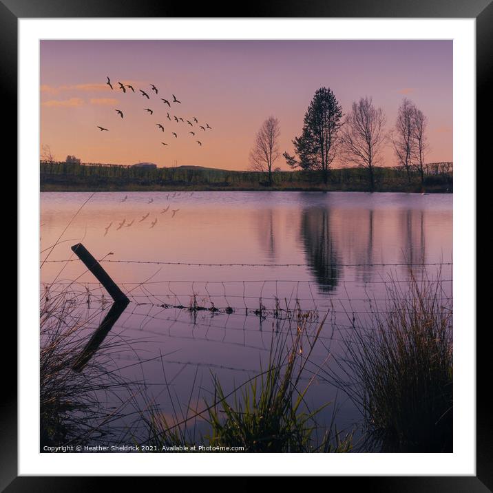 Secret Lake at Sunset with birds Framed Mounted Print by Heather Sheldrick