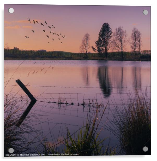 Secret Lake at Sunset with birds Acrylic by Heather Sheldrick