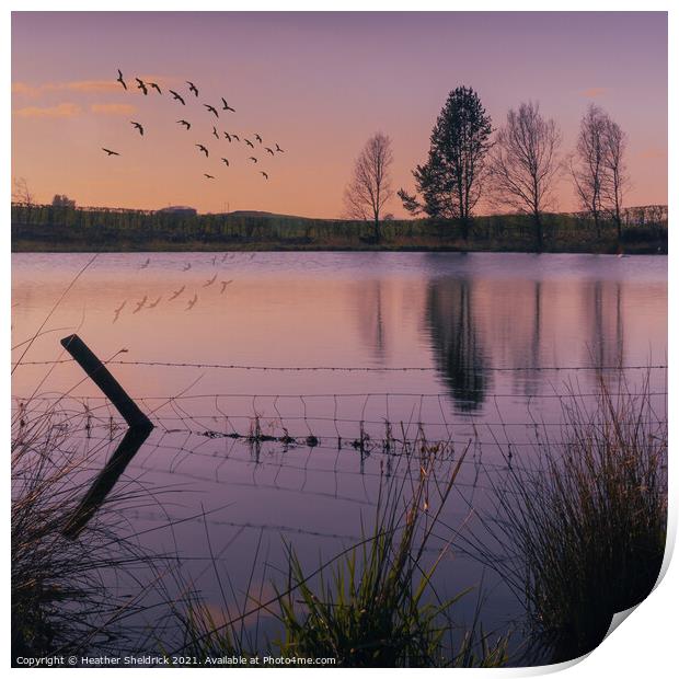 Secret Lake at Sunset with birds Print by Heather Sheldrick