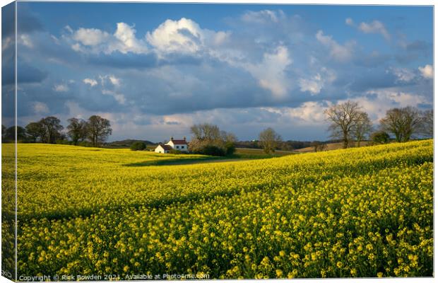 Rapeseed House Norfolk Canvas Print by Rick Bowden