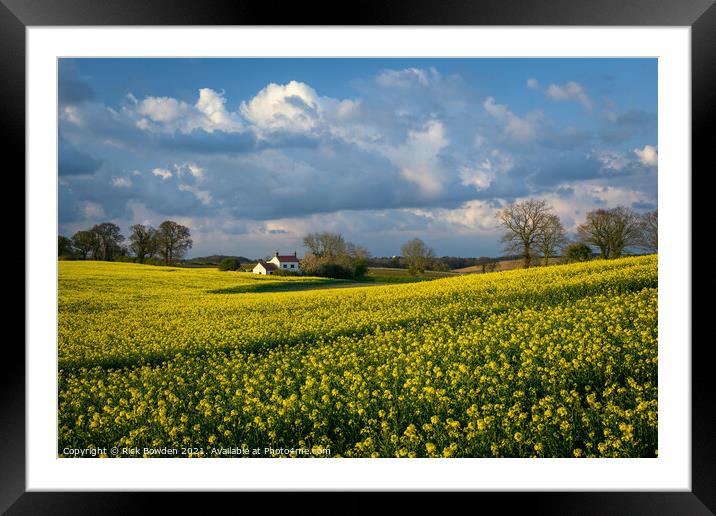 Rapeseed House Norfolk Framed Mounted Print by Rick Bowden