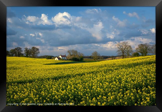 Rapeseed House Norfolk Framed Print by Rick Bowden