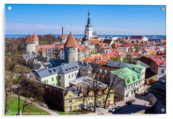 Tallinn downtown aerial view Acrylic by Maria Vonotna
