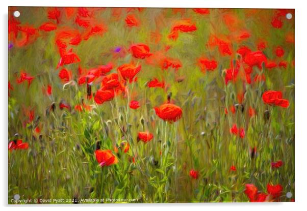 Poppies Summer Day Art  Acrylic by David Pyatt