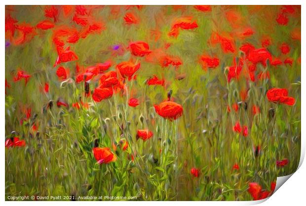 Poppies Summer Day Art  Print by David Pyatt