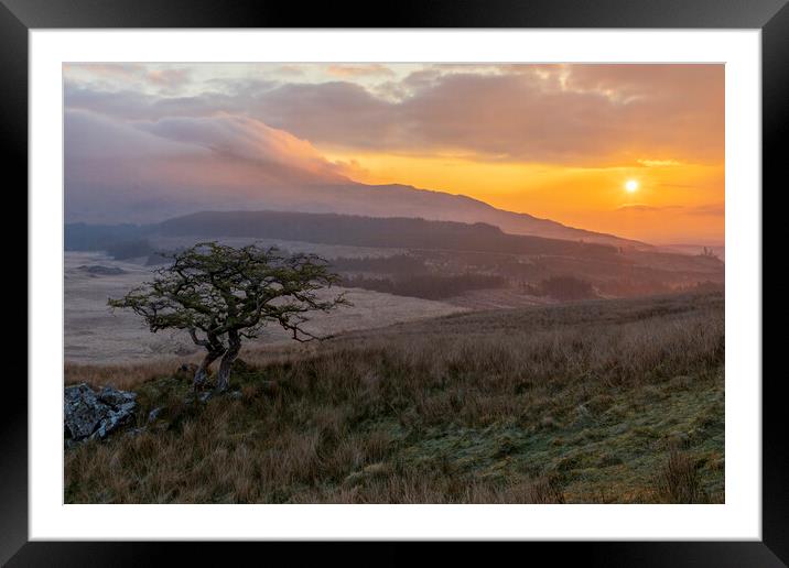 Moel Siabod sunrise Framed Mounted Print by Rory Trappe