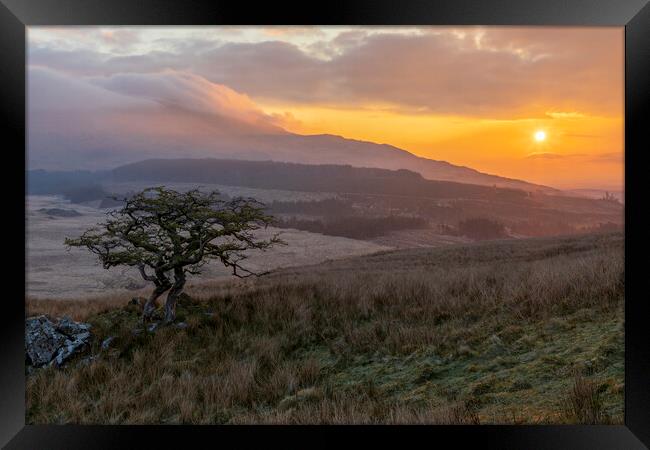 Moel Siabod sunrise Framed Print by Rory Trappe