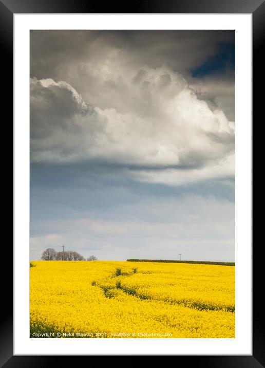 Rapeseed Field and Moody Skies Framed Mounted Print by Heidi Stewart