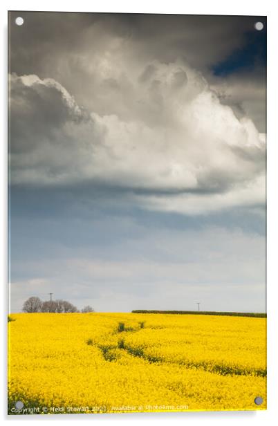 Rapeseed Field and Moody Skies Acrylic by Heidi Stewart