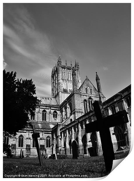 Wells cathederal Print by Sean Wareing