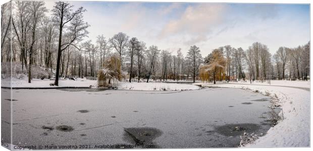 Frozen lake in city park Canvas Print by Maria Vonotna