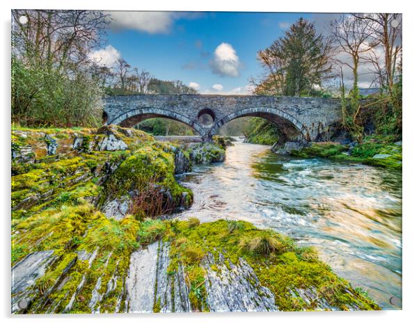 Cenarth Falls, Wales, UK Acrylic by Mark Llewellyn