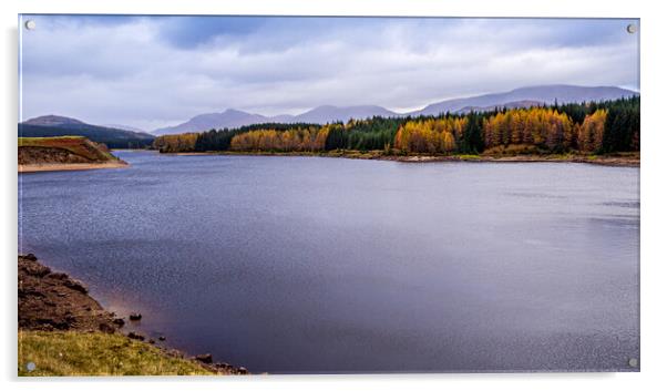 Loch Laggan View Acrylic by Mark Llewellyn