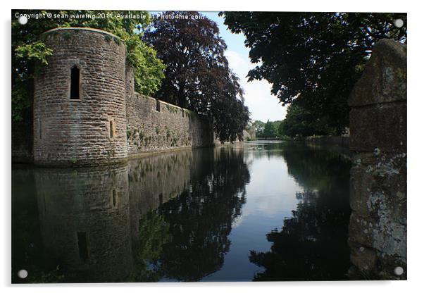 The bishops palace moat Acrylic by Sean Wareing