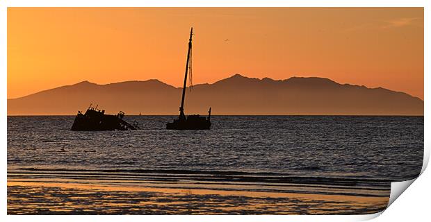 Kaffir shipwreck Ayr at sunset Print by Allan Durward Photography