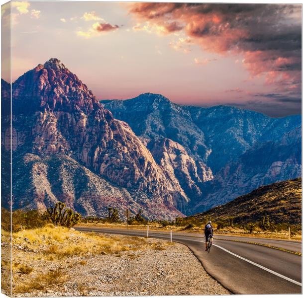 Rider Cycling on Road Through Desert Toward Mountains Canvas Print by Darryl Brooks