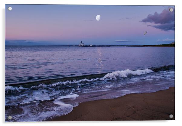 Moonlit Bay Acrylic by John Ellis