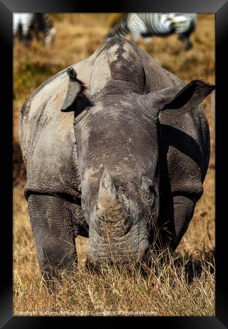 White Rhino Framed Print by Steve de Roeck