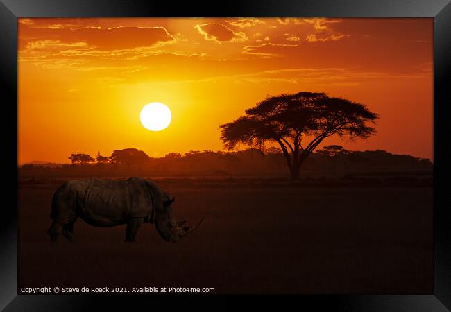 White Rhino At Sunset Framed Print by Steve de Roeck