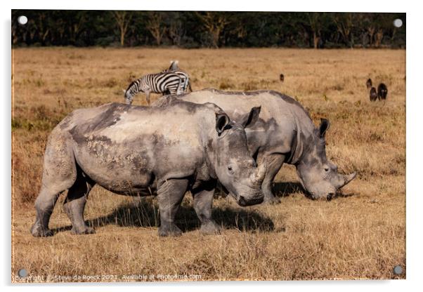 White Rhino and Zebra Acrylic by Steve de Roeck