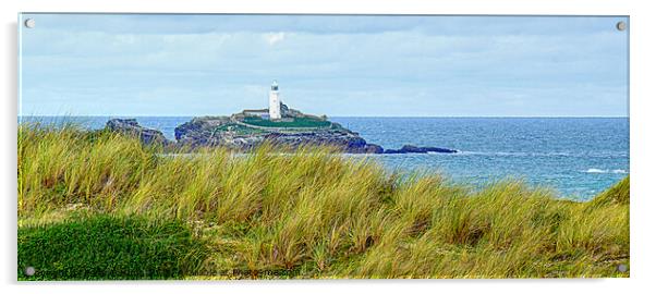 Godrevy Lighthouse From The Dunes Acrylic by Peter F Hunt