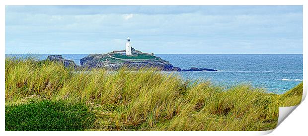 Godrevy Lighthouse From The Dunes Print by Peter F Hunt