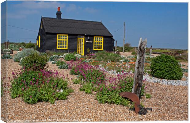 Prospect cottage in Dungeness Romney marsh Kent Canvas Print by Jenny Hibbert