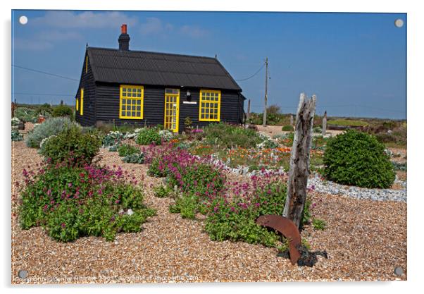 Prospect cottage in Dungeness Romney marsh Kent Acrylic by Jenny Hibbert