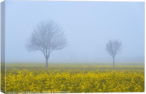 Rapeseed Pair Norfolk Canvas Print by Rick Bowden