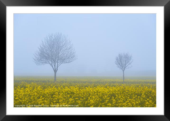 Rapeseed Pair Norfolk Framed Mounted Print by Rick Bowden