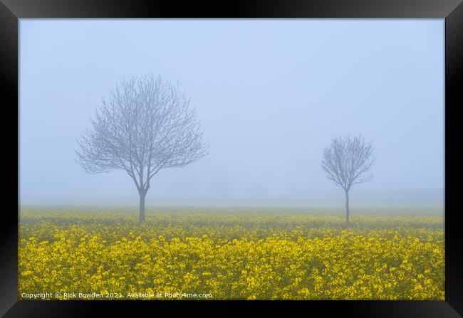 Rapeseed Pair Norfolk Framed Print by Rick Bowden