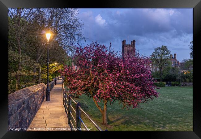 Chester Cathedral from the city walls. Framed Print by Paul Madden