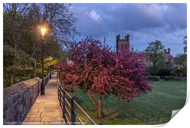 Chester Cathedral from the city walls. Print by Paul Madden