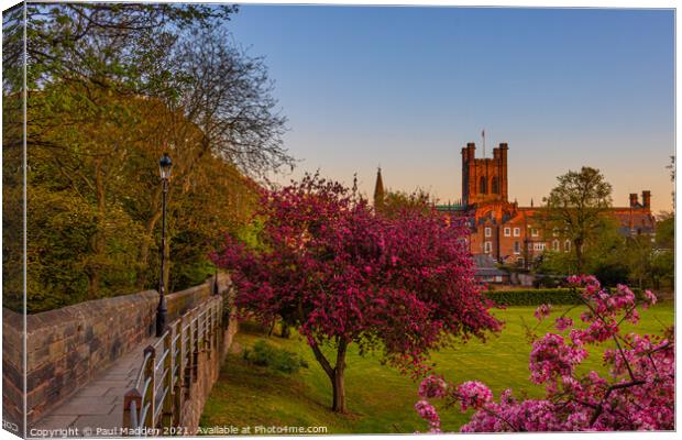 Chester city walls and cathedral Canvas Print by Paul Madden
