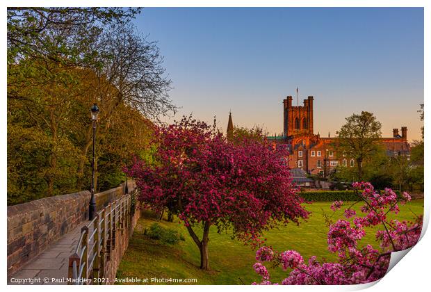 Chester city walls and cathedral Print by Paul Madden