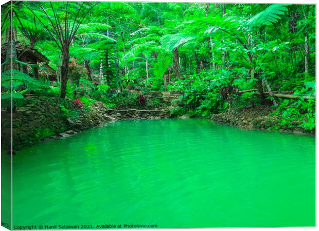 A natural green turquoise pond in a rainforest Canvas Print by Hanif Setiawan