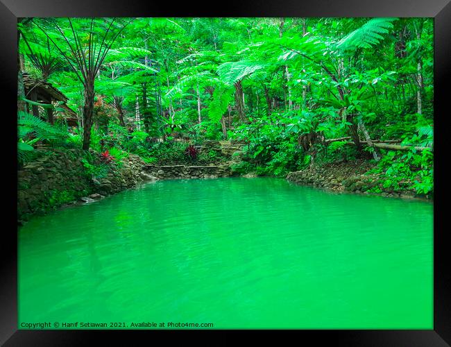 A natural green turquoise pond in a rainforest Framed Print by Hanif Setiawan