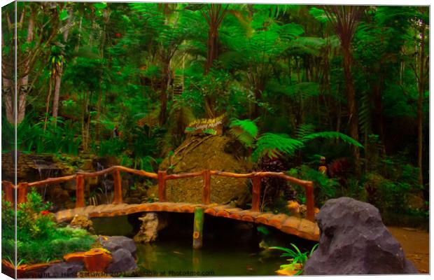 A bamboo bridge at a fish pond in the rain forest  Canvas Print by Hanif Setiawan