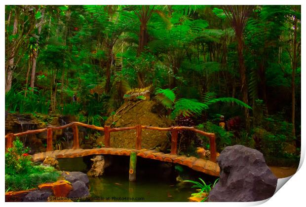 A bamboo bridge at a fish pond in the rain forest  Print by Hanif Setiawan