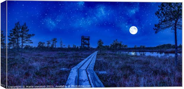 Night view of swamp with observation tower Canvas Print by Maria Vonotna