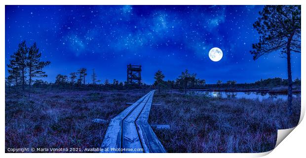 Night view of swamp with observation tower Print by Maria Vonotna