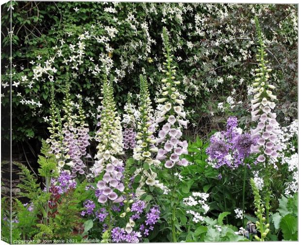 Foxgloves and other flowers in front of a wall of white Montana clematis Canvas Print by Joan Rosie