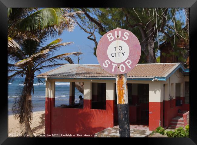 Bus stop in Barbados Framed Print by Ann Biddlecombe