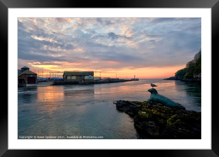 Nelson and friend enjoy the sunrise on The River Looe in Cornwall Framed Mounted Print by Rosie Spooner