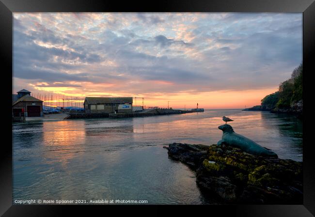 Nelson and friend enjoy the sunrise on The River Looe in Cornwall Framed Print by Rosie Spooner