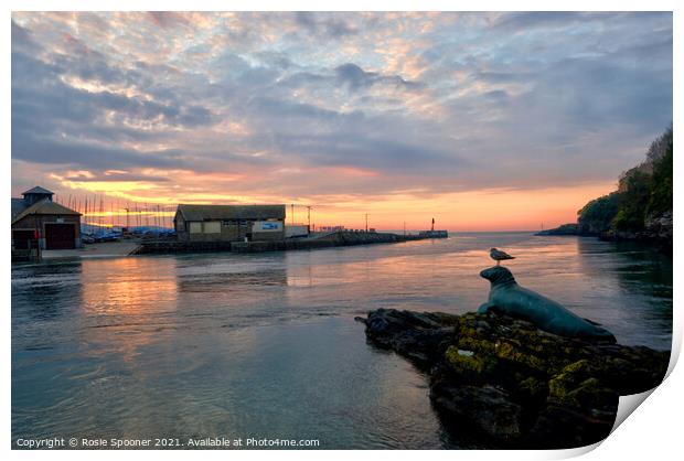Nelson and friend enjoy the sunrise on The River Looe in Cornwall Print by Rosie Spooner