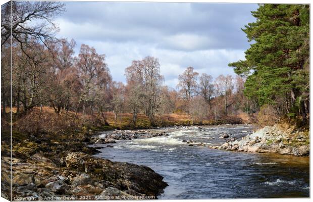 River Dee at Dinnet, Aberdeenshire Canvas Print by Andrew Davies