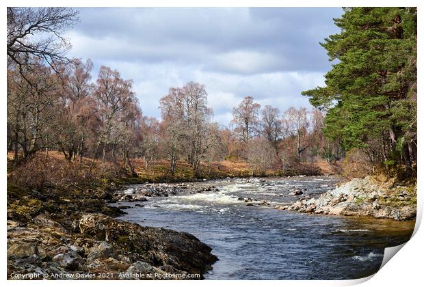 River Dee at Dinnet, Aberdeenshire Print by Andrew Davies